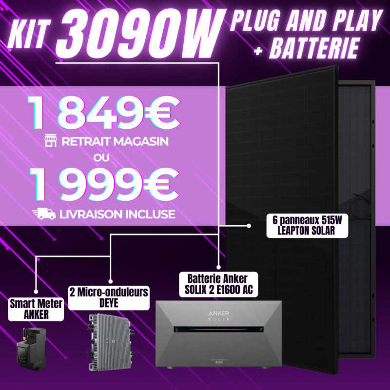 KIT PLUG AND PLAY 6 PANNEAUX 3000W + BATTERIE  - 1