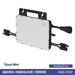 HOYMILES HMS-1000