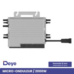 DEYE 2000W