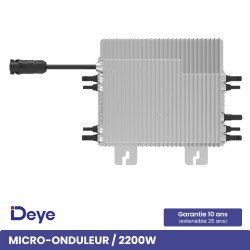 DEYE 2200W